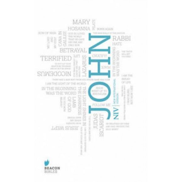 NIV GOSPEL OF JOHN